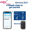 Ridhi Bentsai B10 Mini